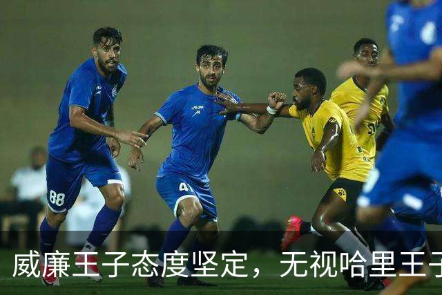 威廉王子态度坚定，无视哈里王子的和解请求，依旧拒绝原谅他